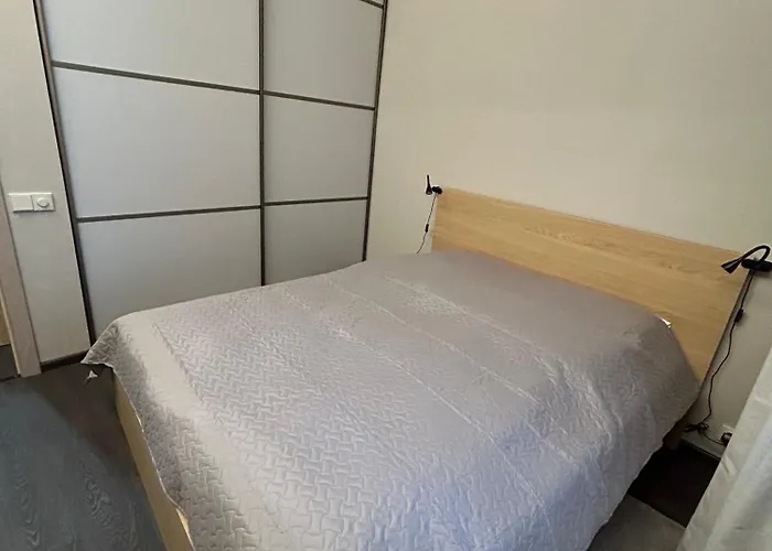 Omuligs Dzivoklitis Centra Riga